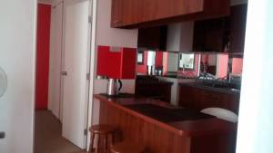 EXCELENTE DEPARTAMENTO CENTRAL, EN CONDOMINIO NUEVO CENTRO