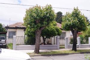 Casa emplazada en una superficie de 900 mts.2