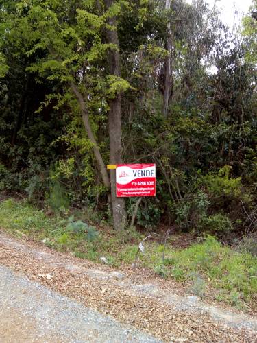 Parcelas de Agrado a Orilla de Camino a Vilches
