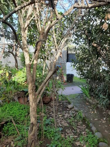 Casa con Amplio Terreno en Centrico Sector