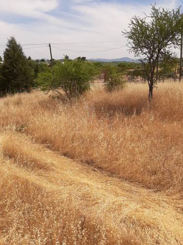 Terreno Cercano a Pencahue con Agua Potable