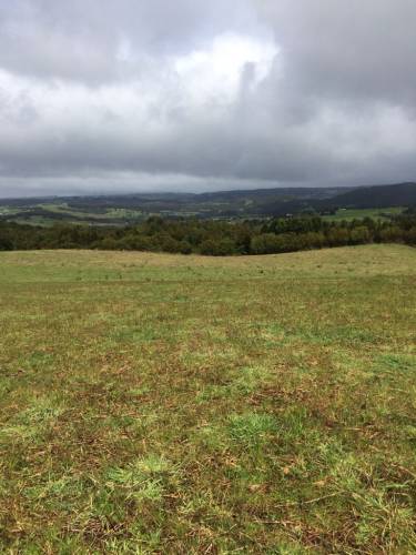 Excelente Oportunidad Terreno 15 Hás $5.700.000 X Hás.