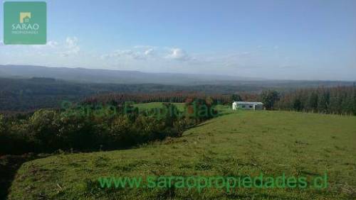 Oportunidad Campo Sector Rinconada, Comuna de Fresia 63 Has.