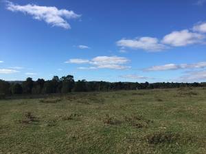 Parcelación Las Mosquetas