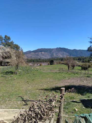 Linda Parcela de 11,8 Hectàreas, Bajo el Nabo, La Recoba