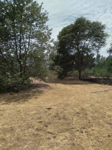 Parcela en La Ballica Norte, a Tan Solo 7 Kms de Linares