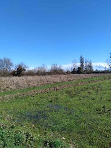 Linda Parcela, Camino a Yerbas Buenas, Sector Puente Alto
