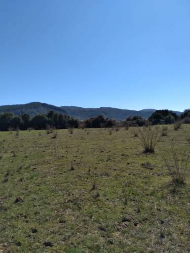 Parcela de 5.000.- Mts2 , en Cajòn Vega de Salas