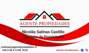 Nicolas Salinas