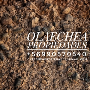Fotografía de Felipe Olaechea